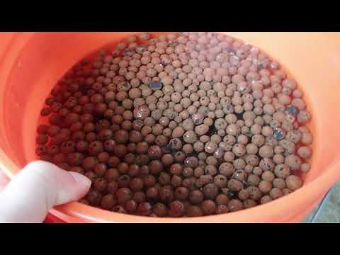 Clean and Reuse your Hydroton Expanded Clay - Hydroponics