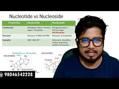 Difference between nucleotide and nucleoside | Nucleotide vs nucleoside