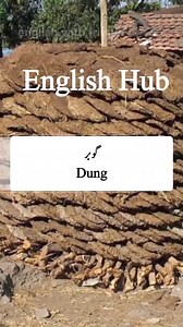 #englishvocabulary English Hub | English Hub