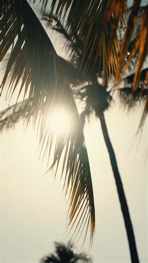 2.5K views · 31 reactions | Sunreef Yachts looks back at an outstanding 2025 edition of the Palm Beach international Boat Show. The team officially premiered the electric 60 Sunreef Power Eco and unveiled the NEXT generation of Sunreef sail catamarans over a show filled with sunshine and positive vibes. palmbeachboatshow#palmbeachyachting#luxurypalmbeach | Sunreef Yachts | Facebook