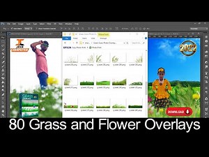 80+ 𝐆𝐫𝐞𝐞𝐧 𝐆𝐫𝐚𝐬𝐬 𝐎𝐯𝐞𝐫𝐥𝐚𝐲𝐬 in Png | Green Grass Transparent PNG Free Download | #Jana_Computer