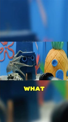 GENIUS ALIEN BRAIN! Octopus Opens Locked Jar 🤯 #octopus #smartanimals #facts