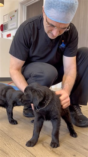 525K views · 18K reactions | My troubles have melted away in one glorious moment! x | Professor Noel Fitzpatrick | Facebook