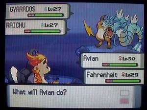 Pokemon D/P Walkthrough Part 37: Route 210