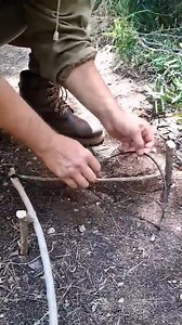 Amazing Trap #trap #forest #outdoors # #survival #skills #tips #camping | Trap Three