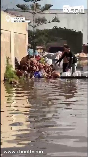 إنها الإنسانية برافو..شباب عتقو كلب ملي غرق بسوق الطيانة بزناتة ..شوفو كيفاش نقذوه