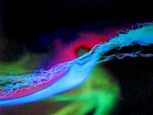 Commander Cody and His Lost Planet Airmen Midnight Shift