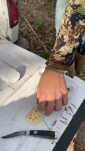 David Lawson Jr95 on TikTok