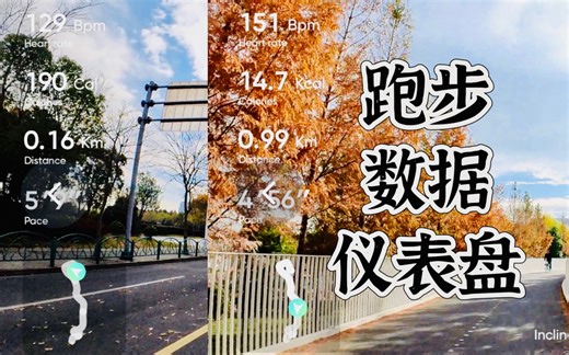 上海滨江秋日跑步｜insta360仪表盘初使用｜高驰training hub数据迁移佳明connect演示
