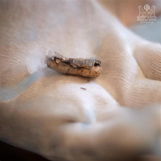 Among the hundreds of tiny Arabic papyrus fragments unearthed in Edfou nearly a century ago and now preserved in the Archives and Collections Department of the Ifao, a small, tightly rolled piece of papyrus drew the attention of Dr. @Khaled Younes, Scientific collaborator at the Ifao. Discover the story of this fragment in the link below: https://www.ifao.egnet.net/image/ | Institut français d’archéologie orientale - Ifao
