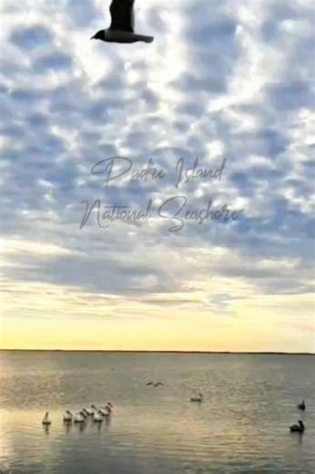 Padre Island National Seashore 🏖 Bird Island Basin $5.00 Campsites on Padre Island in South Texas