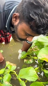 707K views · 2.1K reactions | #viralvideo #fishing #fishingequipment #fish #fishinggear #hook #farming #fishinghooks #net #village | Sumi Comedy | Facebook