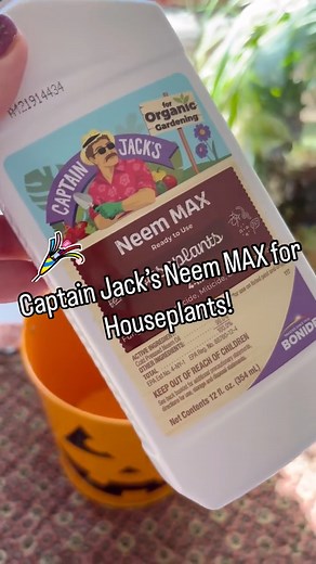NEW! 🎉 Captain Jack’s Neem Max for Houseplants. Protect your houseplants with 4-in-1 Neem Max from Captain Jack’s. The active ingredient, cold pressed neem oil, is an effective multi-purpose insecticide, fungicide, miticide and nematicide. Pick up a bottle on Amazon today --> https://amzn.to/4mMqWAM | Bonide