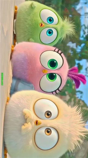 angry birds animated series