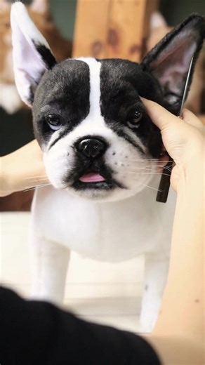 Did you know you can create a 𝗖𝗨𝗦𝗧𝗢𝗠 𝗦𝗧𝗨𝗙𝗙𝗘𝗗 𝗔𝗡𝗜𝗠𝗔𝗟 that looks just like your beloved pet? "We were amazed with how fabulous his clone turned out. In every detail, they brought Mr. Bear back to life. Will definitely be recommending to all my fellow pet lovers. Thanks so much!" - Corrie M. ⭐⭐⭐⭐⭐ ✅ Donation for Every Purchase! ✅ The Perfect Gift for Pet Lovers! ✅ All Animal Species & Breeds! ✅ 100,000 Satisfied Customers! Ordering is easy, just upload a few pictures and tell us 