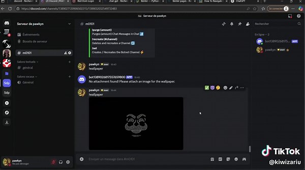 Understanding Trojans in Informatic Programming