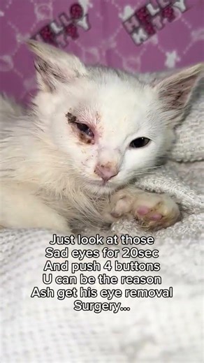 Ash is living every day in pain. His eye is infected, swollen, and beyond saving.