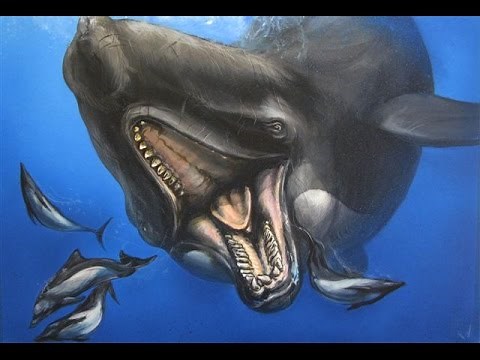 Prehistoric Moby Dick?