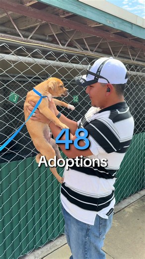 ❤️ 48 ADOPTIONS. ONE INCREDIBLE DAY. ❤️ Today was truly special. Thank you to everyone who came out to our Clear the Shelters event, opened their hearts, and welcomed one of our shelter pets into their lives. Because of your support, 48 of our animals found homes in ONE DAY! 🐶🐱🏡 We are so grateful to everyone who adopted, shared our posts, brought a friend, or supported our animals in any way. You helped make today a day to remember. ❤️ A special thank you to NBCUniversal Local for their 12th