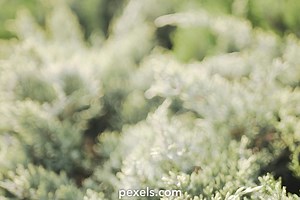 Zen Video Videos, Download The BEST Free 4k Stock Video Footage & Zen Video HD Video Clips