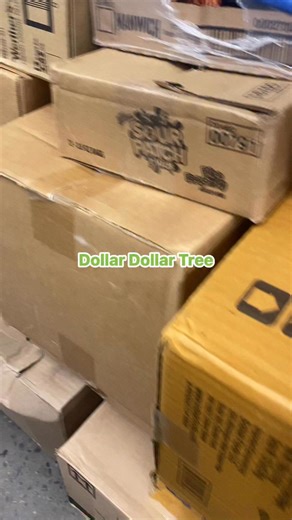 Barbie Davis on Instagram: "Dollar Tree I tried to show y’all some love and was almost I knoc ked into the shelves. I can’t do it no more😭🤣 #dollartree"