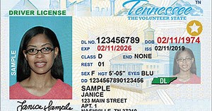 'We're trying to prevent fraud': New Tennessee driver's license requirements incoming for some drivers