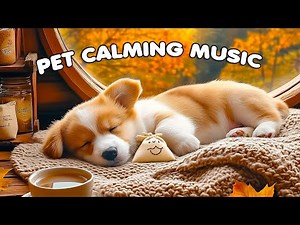 12 Hours Calming Dog Music🎵Relaxing Sleep Music for Dogs🐶Anti Separation Anxiety💖stress relief