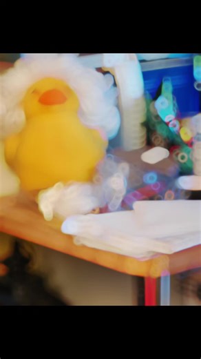 Mr mandarin duck (@mr_mandarin_duck)’s videos with original sound - 90s Classics