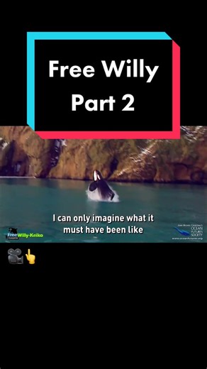 Keiko the Real Free Willy: The True Story of the Liberated Orca