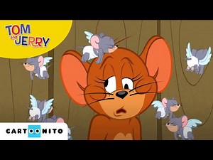 Tom und Jerry | Rivalen der Liebe | Cartoonito