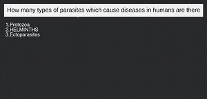 How many types of parasites which cause diseases in human are t... | Filo