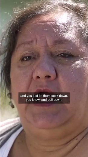 Learn how to forage and cook wild onions, a traditional #Cherokee delicacy. #OsiyoTV