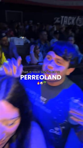 PERREO LAND FESTIVAL hits Hartford TONIGHT 🎉🇵🇷 Get ready to throw it back to nonstop reggaetón bangers, heavy perreo energy, and nothing but heat on the dance floor 💃🪩 🎟️ Tickets available now 🔗 www.TheWebsterCT.com | The Webster