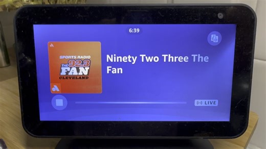 Echo Show Screen Flashing