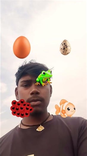 #fadinhas #naoflopa #fadas