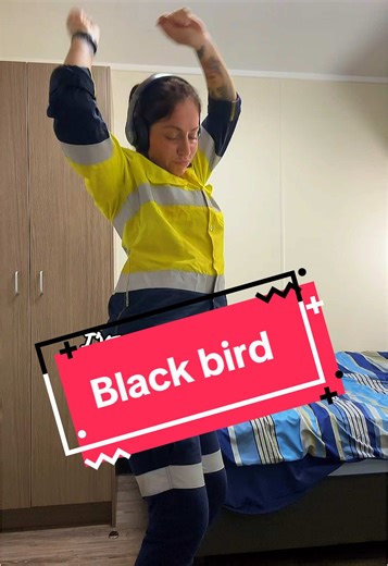 Understanding the Spiritual Meaning of Crows