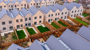 I’m a gardening expert - 10 ways to create privacy for your outdoor space