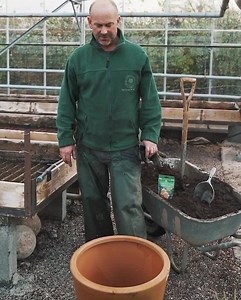 How to plant a Bare Root rose in a pot or container. Head Gardener, Steve takes you through what you’ll need to get started, including drainage materials, rose feed and even the size of pot, before telling us a little more about positioning and watering too. Have you recently planted your rose in a pot or container? We’d love to see a picture. | David Austin Roses