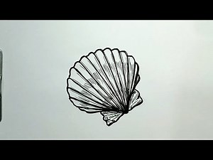 How to Draw Sea Shell in Easy Steps