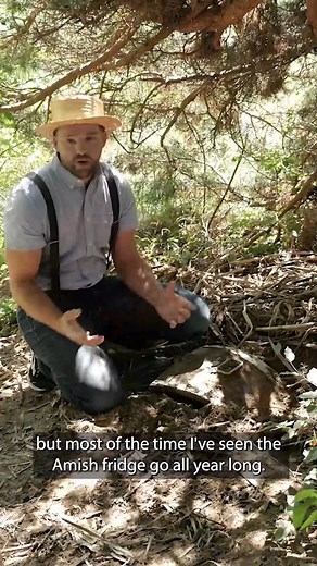 131K views · 3.9K reactions | Find out more here  https://www.theamishways.com/fbook/ | The Amish Ways | Facebook