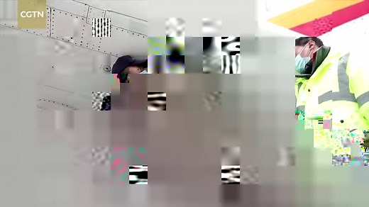 828K views · 5K reactions | The Chinese-made ARJ21 passenger aircraft successfully completed its test flight at the world's highest civil airport in southwest China's Sichuan Province, indicating its operating range can cover all high-altitude airports and laying a solid foundation for opening up plateau routes in the future. | CGTN | Facebook