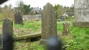 Old overgrown gravestones in a neglected graveyard in Ireland
