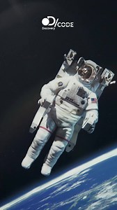 54K views · 1.1K reactions | Discovery Channel presents D/CODE. Dive deep into unsolved mysteries. Get the ammo you need to change the world. Delve into the biggest, quirkiest ideas from the world of science & tech. Celebrate our diversity and unique relationships with the world around us. Satisfy your curiosity at www.discoverydcode.com #DCODE #DiscoveryAsia | Discovery Channel Southeast Asia | Facebook