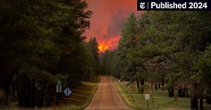 2 Are Killed in ‘Devastating’ New Mexico Wildfires