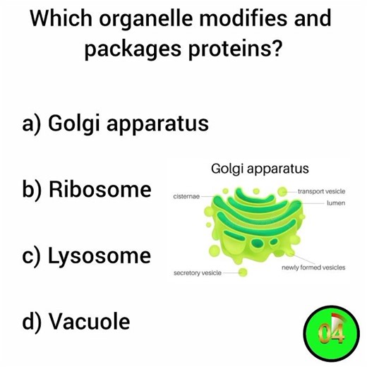 Important biology GK Questions and Answers #biology #biologyquiz