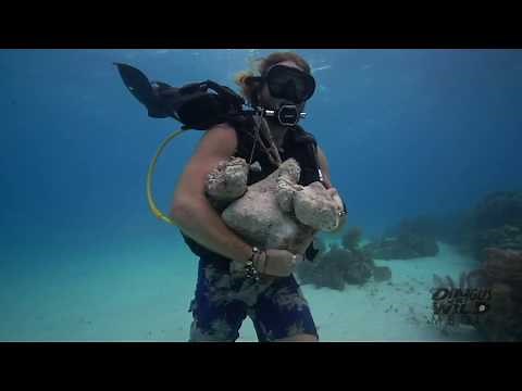 Making Artificial Reefs on Little Corn Island, Nicaragua