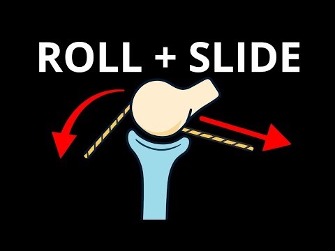 The Science Of Human Movement