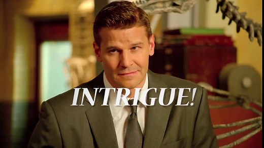 "Bones" The 200th in the 10th (TV Episode 2014)