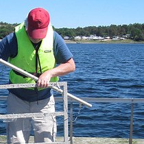 Video: The Barnacle Balanus improvisus as a Marine Model - Culturing and Gene Expression