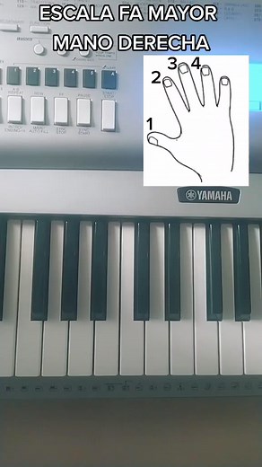 Escala FA Mayor #AprendeEnTikTok #escala #fa #piano #tutorial #notas #digitacion Tutorial Piano #piano #facil #tutorial #cancion #hagamosviralajesus #comosellama #adivina #intro | Piano Professional